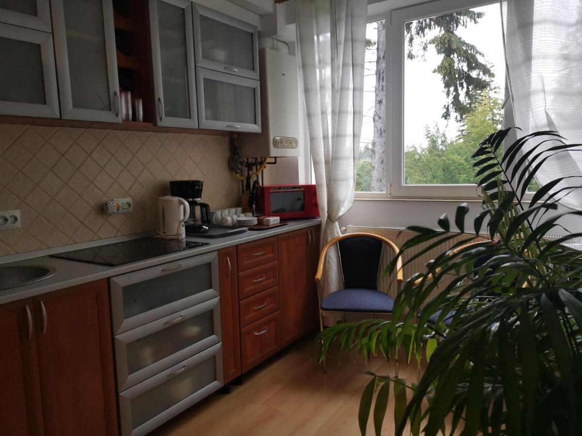 Apartament Ana Poiana Brasov Daire Dış mekan fotoğraf