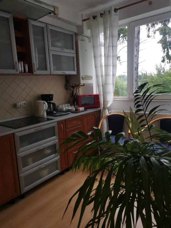 Apartament Ana Poiana Brasov Daire Dış mekan fotoğraf