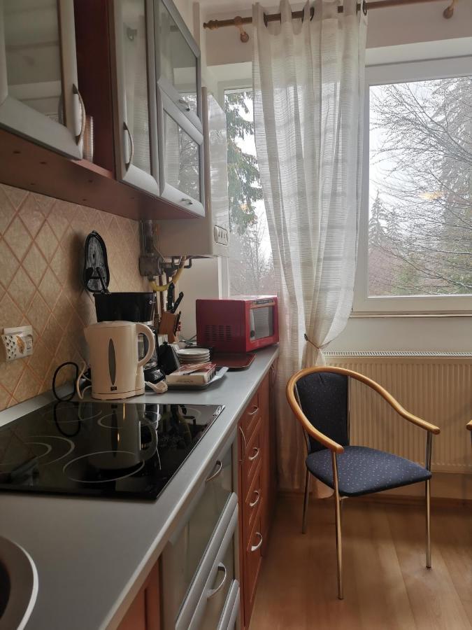 Apartament Ana Poiana Brasov Daire Dış mekan fotoğraf